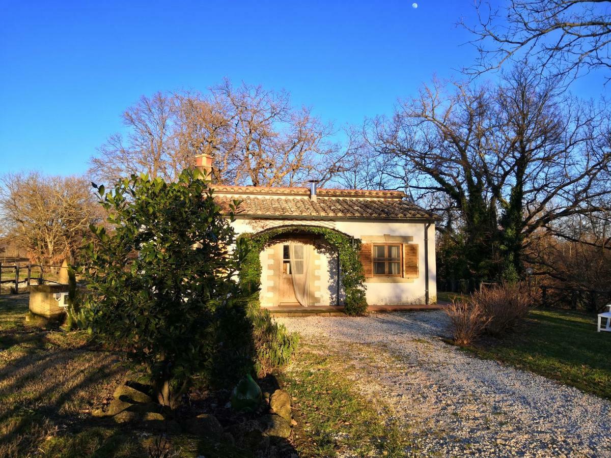 索瓦纳Maremma Country Chic Le Ginestre别墅 外观 照片