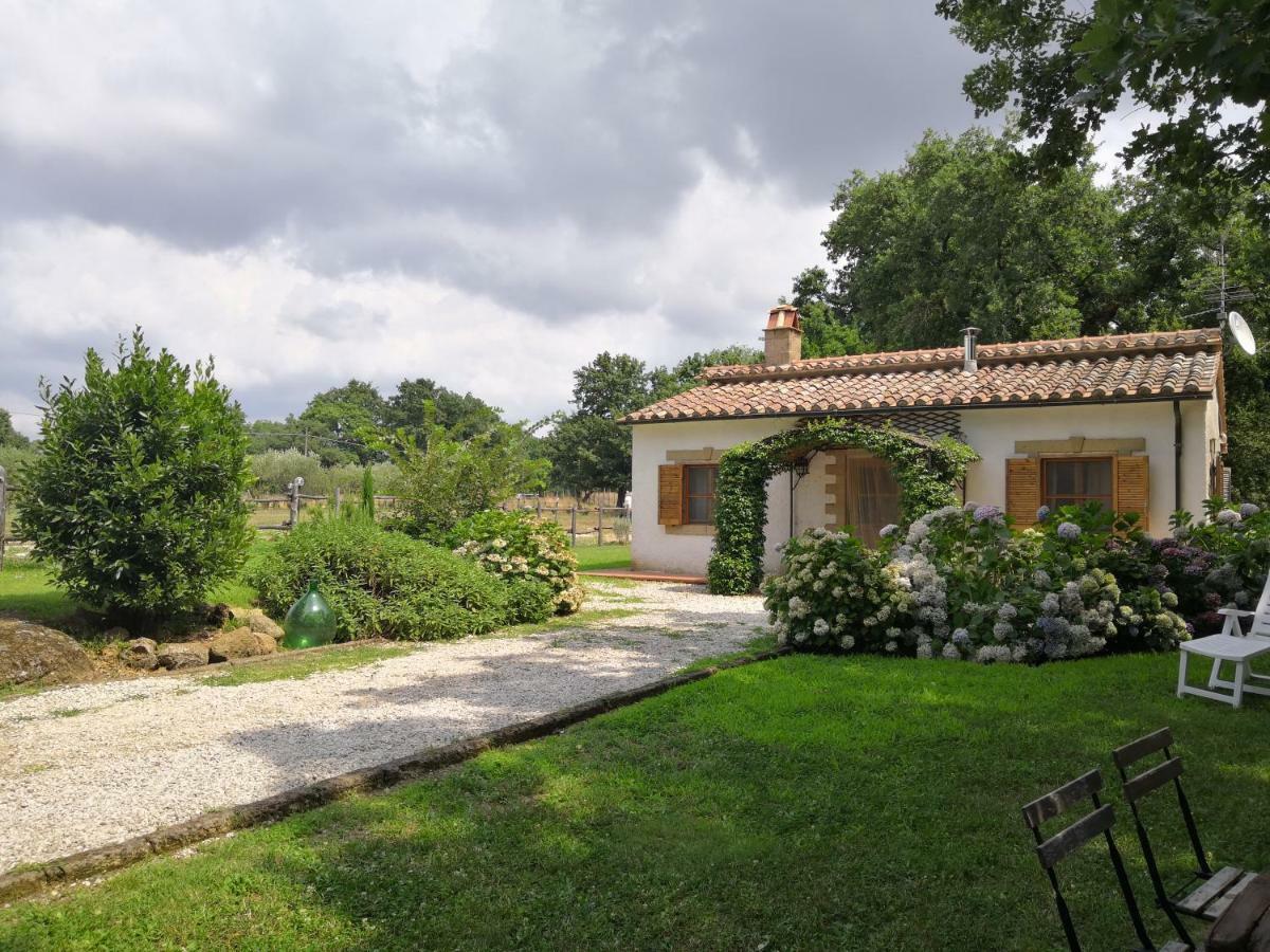 索瓦纳Maremma Country Chic Le Ginestre别墅 外观 照片